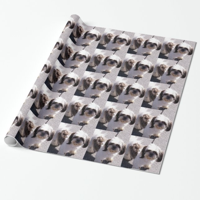 Papier Cadeau Chien de Shih Tzu (Déroulé)