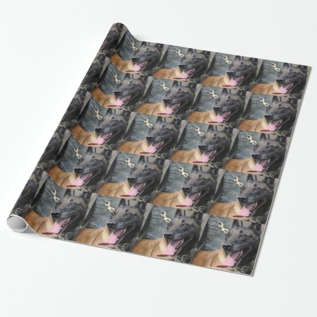 Papier Cadeau Chien de sourire de Malinois de Belge (Déroulé)