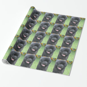 Papier Cadeau Chien de Terre-Neuve