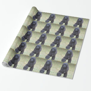 Papier Cadeau Chien d'eau portugais noir