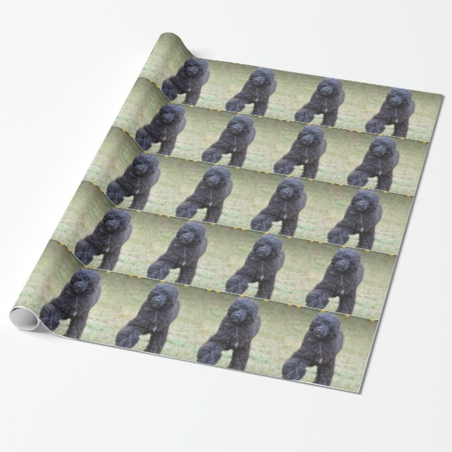 Papier Cadeau Chien d'eau portugais noir (Déroulé)
