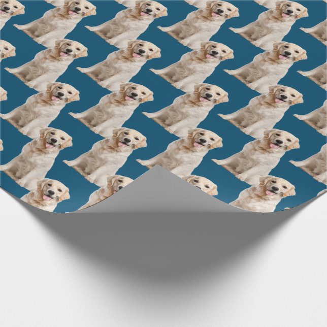 Papier Cadeau Chien d'or sur bleu (Coin)