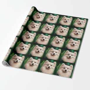 Papier Cadeau Chien Eskimo américain en Robe du Jour de la Saint