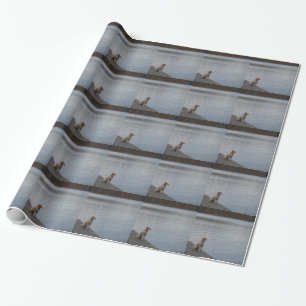 Papier Cadeau Chien jaune sur quai