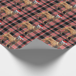 Papier Cadeau Chien malinois belge et Noël rouge