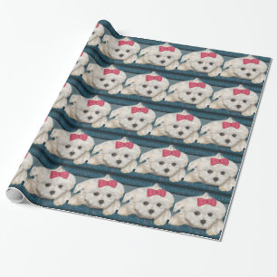 Papier Cadeau Chien maltais mignon avec la fourrure de crème et