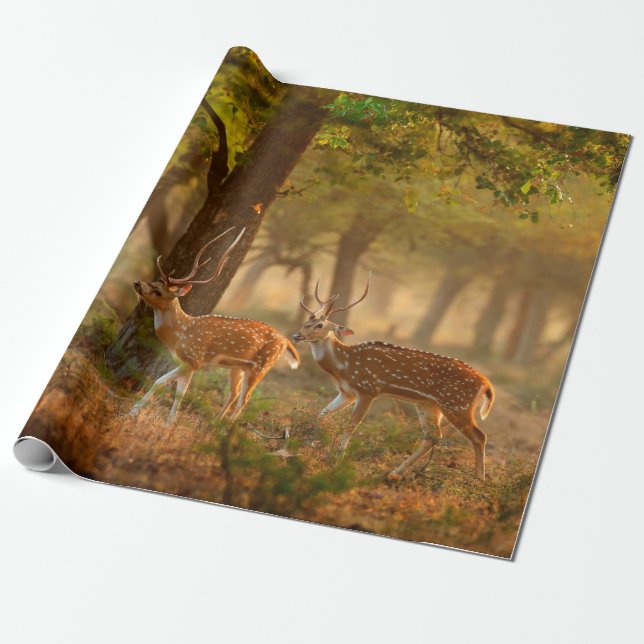 Papier Cadeau Chien ou cheetal, axe Axe, cerfs tachetés ou axi (Déroulé)
