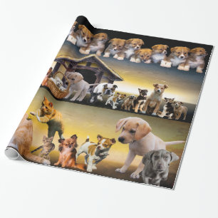 Papier Cadeau Chiens à l'infini chats chiots chatons chatons mèr