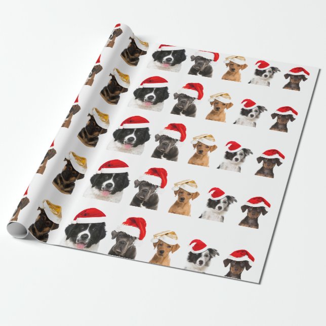 Papier Cadeau Chiens dans le papier d'enveloppement de chapeau d (Déroulé)