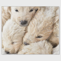 Chiens de Saint Valentin Papier à envelopper