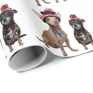 Papier Cadeau Chihuahua chiens en casquette