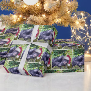 Papier Cadeau Chimpanzé de Noël avec chapeau de Père Noël