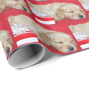 Papier Cadeau Chiot dormant de Noël Golden Retriever