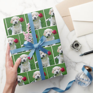 Papier Cadeau Chiot Golden Retriever Avec Rose Rouge
