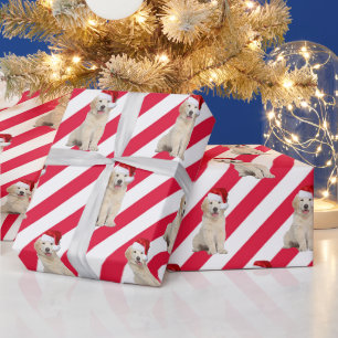 Papier Cadeau Chiot Golden Retriever sur les rayures