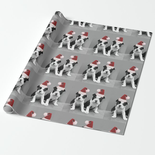 Papier Cadeau Chiots de Noël Boston Terrier (Déroulé)
