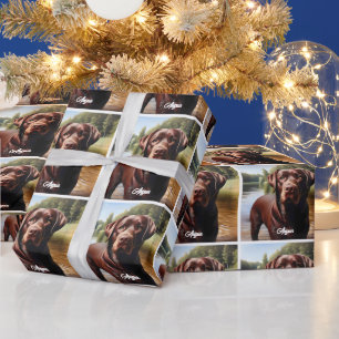 Papier Cadeau Chocolat Labrador et lac