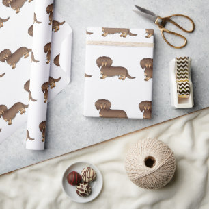 Papier Cadeau Chocolat & Tan Long Cheveux Dachshund Chien Motif