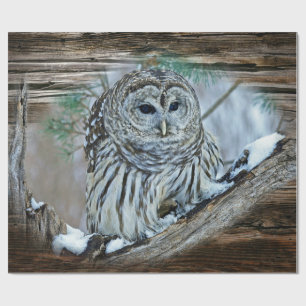 Papier Cadeau Chouette