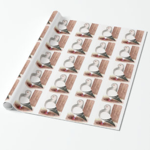 Papier Cadeau Chouette d'Afrique bleue Pigeon