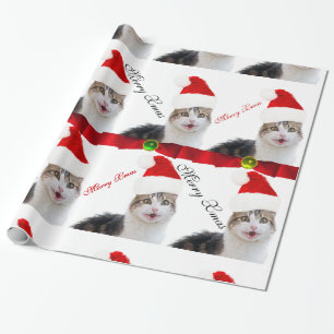 PAPIER CADEAU CHRISTMAS CHAT AVEC CASQUETTE SANTA CLAUS ET RIBBO