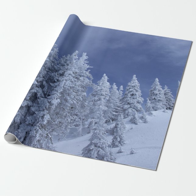 Papier Cadeau Ciel bleu à l'hiver (Déroulé)