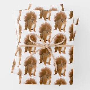 Papier Cadeau Classique Écureuil Rouge Fluffy