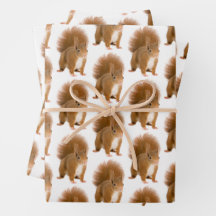 Papier Cadeau Classique Écureuil Roux Fluffy