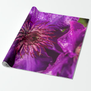 Papier Cadeau Clematis Le Président