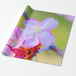 Papier Cadeau Closeudo Vue Sur Les Fleurs De Cerisiers De Sakura