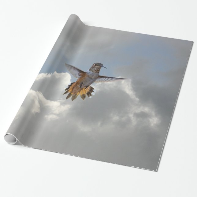 PAPIER CADEAU COLIBRI (Déroulé)