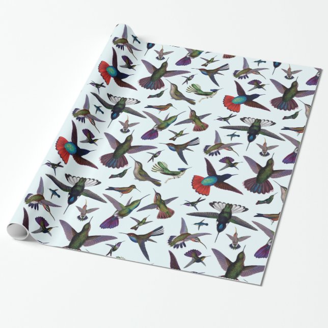 Papier Cadeau Colibri (Déroulé)