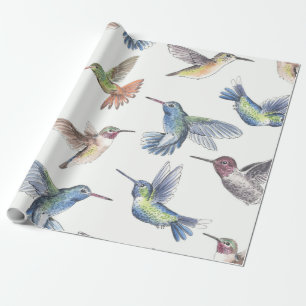 Papier Cadeau Colibri