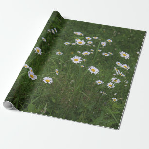 Papier Cadeau Colline des marguerites