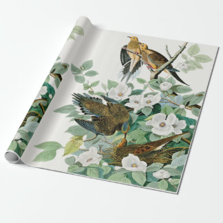 Papier Cadeau Colombe de tortue de la Caroline, oiseaux de