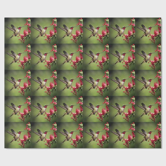 Papier Cadeau Colorful Hummingbird (Plat)
