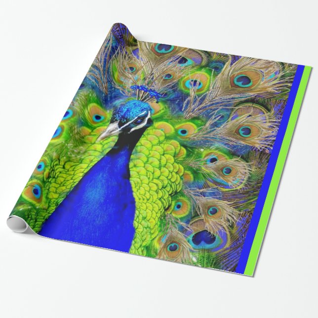 Papier Cadeau Conception bleue de plumes de paon (Déroulé)