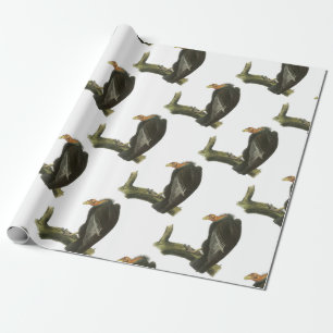 Papier Cadeau Condor de Californie par Audubon