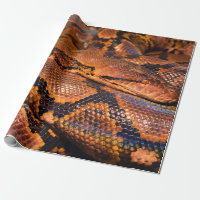 Constricteur de boa