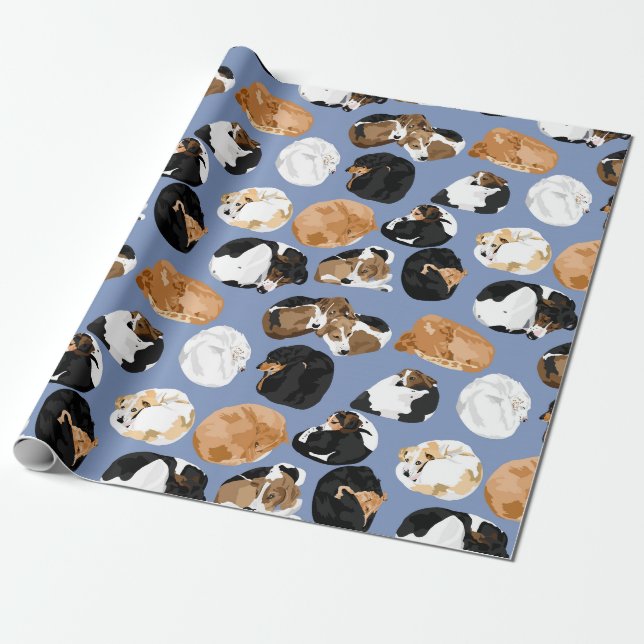 Papier Cadeau Cooniecurl (Déroulé)