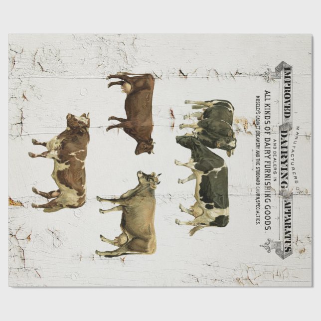 Papier Cadeau Copie de ferme de vache laitière (Plat)