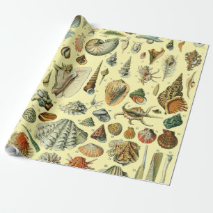 Papier Cadeau Coquillages de coquillages Mollusk Clam Élégant Ar