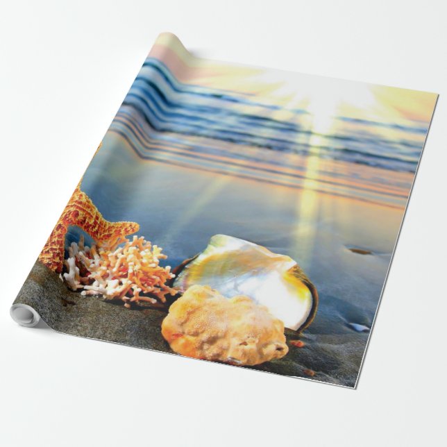 Papier Cadeau Coquillages marins et étoiles de mer sur la plage (Déroulé)