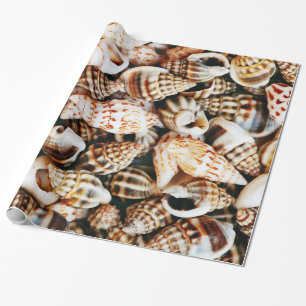 Papier Cadeau Coquillages minuscules