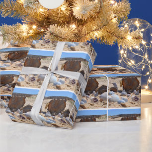 Papier Cadeau Coquillages sur la plage par Shirley Taylor