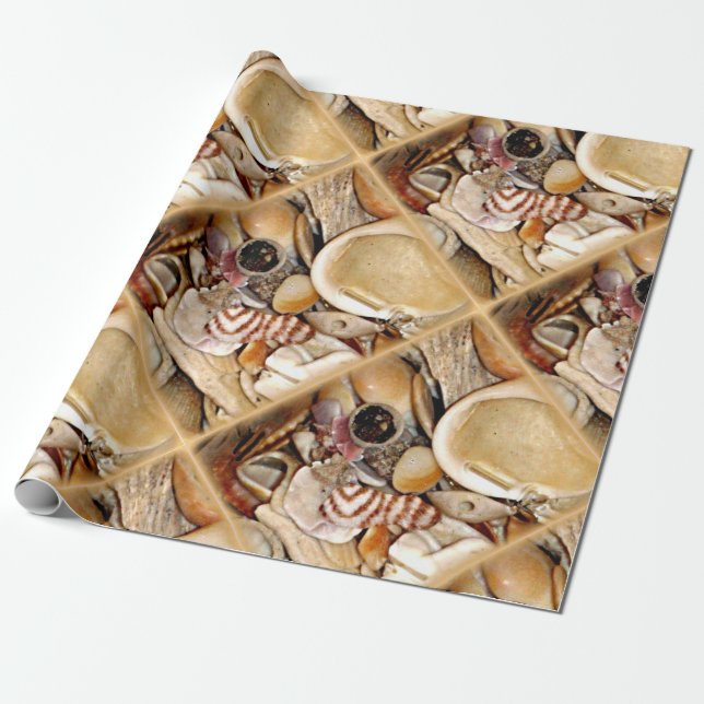 Papier Cadeau Coquilles de mer de l'Océan Atlantique (Déroulé)