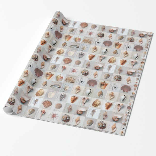 Papier Cadeau Coquilles sophistiquées (Déroulé)