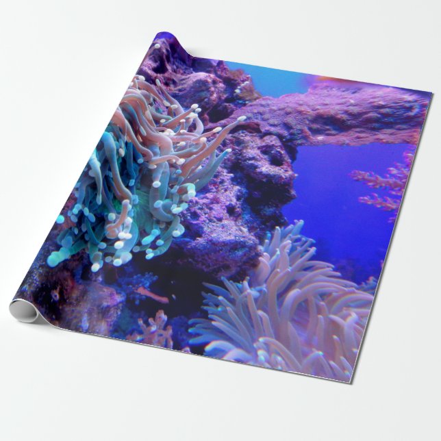 Papier Cadeau Corail récif bleu violet anénome marin (Déroulé)