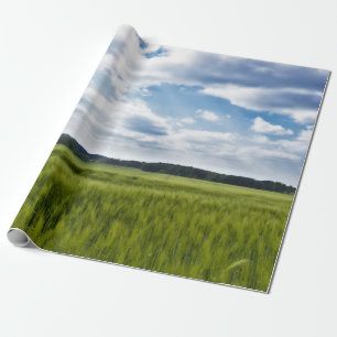 Papier Cadeau Corneilles vertes et ciels bleus