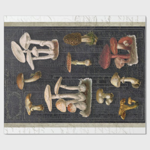 Papier Cadeau Cottage de champignons de la forêt Ephemera Découp